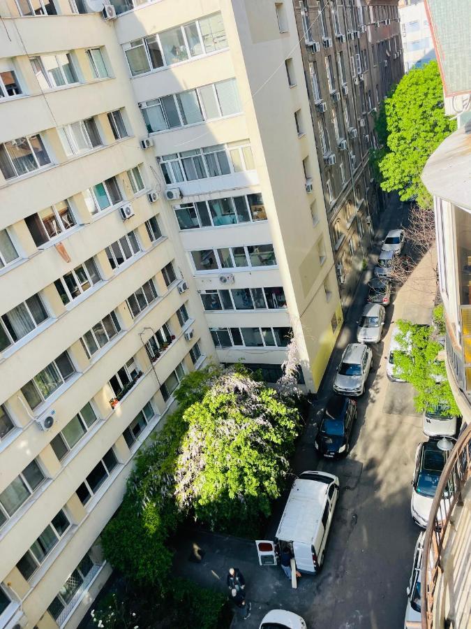 Cismigiu Park View Διαμέρισμα Βουκουρέστι Εξωτερικό φωτογραφία